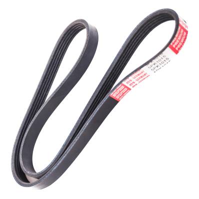 5PK1015-PCS-MS - V-Ribbed Belts