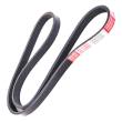5PK1015-PCS-MS - V-Ribbed Belts