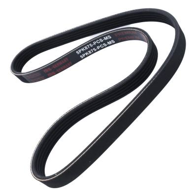 5PK875-PCS-MS - V-Ribbed Belts