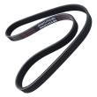 5PK875-PCS-MS - V-Ribbed Belts
