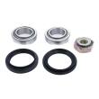 742-SET-MS - Wheel Bearing Kit