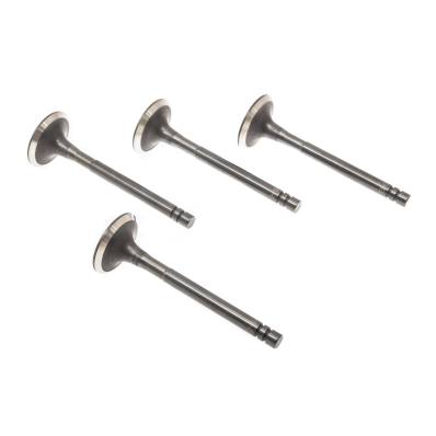D-EX-SET/4/-MS - Outlet valve