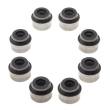 553-191-FPM-SET/8/-MS - Seal Set, valve stem