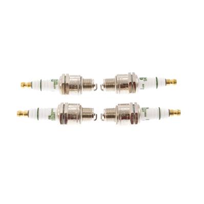 B5HS-GAS-SET/4/-MS - Spark Plug