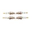 B5HS-GAS-SET/4/-MS - Spark Plug