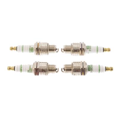 B5HS-GAS-U-SET/4/-MS - SPARK PLUG