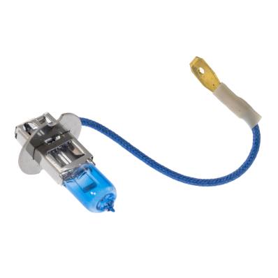 H3-12V55W/X+30%-PCS-MS - HALOGEN BULB