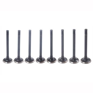 12IN-SET/8/-MS - Inlet Valve