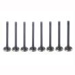12EX-SET/8/-MS - Outlet valve