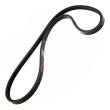 3PK830-PCS-MS - V-Ribbed Belts
