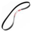 5PK1010-PCS-MS - V-Ribbed Belts