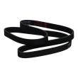 5PK1210-PCS-MS - V-Ribbed Belts