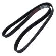 6PK1250-PCS-MS - V-Ribbed Belts