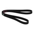 6PK1293-PCS-MS - V-Ribbed Belts