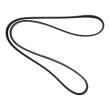 6PK1293-PCS-MS - V-Ribbed Belts