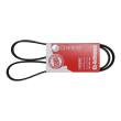 6PK1293-PCS-MS - V-Ribbed Belts