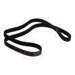 6PK1390-PCS-MS - V-Ribbed Belts
