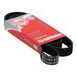 6PK1460-PCS-MS - V-Ribbed Belts