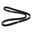 5PK1225-PCS-MS - V-Ribbed Belts