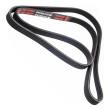 5PK1592-PCS-MS - V-Ribbed Belts