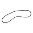 5PK725-PCS-MS - V-Ribbed Belts