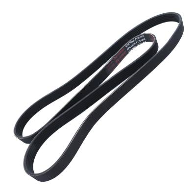 6PK1605-PCS-MS - V-Ribbed Belts