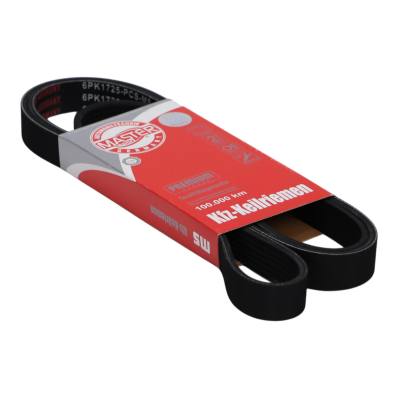 6PK1725-PCS-MS - V-Ribbed Belts