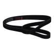 6PK1725-PCS-MS - V-Ribbed Belts