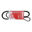6PK1725-PCS-MS - V-Ribbed Belts