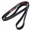 6PK1755-PCS-MS - V-Ribbed Belts