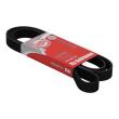 6PK1815-PCS-MS - V-Ribbed Belts
