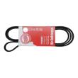 6PK1815-PCS-MS - V-Ribbed Belts