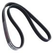 4PK790-PCS-MS - V-Ribbed Belts