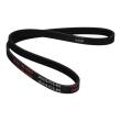 4PK836-PCS-MS - V-Ribbed Belts