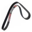 5PK905-PCS-MS - V-Ribbed Belts
