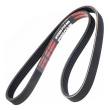 5PK925-PCS-MS - V-Ribbed Belts