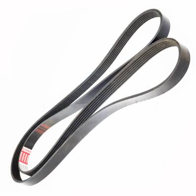 6PK1905-PCS-MS - V-Ribbed Belts