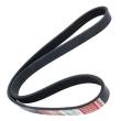 6PK1015-PCS-MS - V-Ribbed Belts