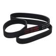 6PK1125-PCS-MS - V-Ribbed Belts