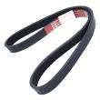 6PK900-PCS-MS - V-Ribbed Belts