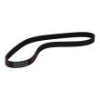 6PK906-PCS-MS - V-Ribbed Belts