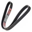 6PK923-PCS-MS - V-Ribbed Belts
