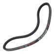 AVX-10X750-PCS-MS - V-Belt