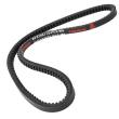 AVX-10X775-PCS-MS - V-Belt
