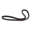 AVX-10X800-PCS-MS - V-Belt