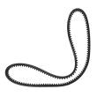AVX-10X800-PCS-MS - V-Belt