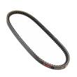 AVX-10X600-PCS-MS - V-Belt