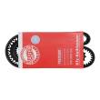 AVX-10X1225-PCS-MS - V-Belt
