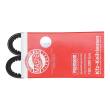 AVX-10X613-PCS-MS - V-Belt