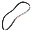 871-SD-PCS-MS - Timing Belt